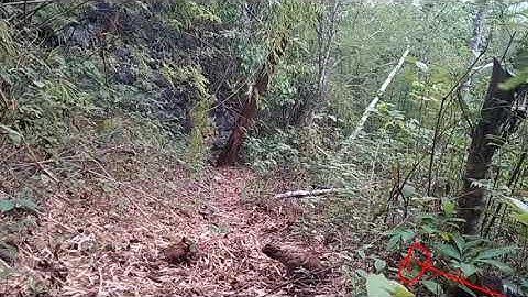 Yos hav zoov 2021muab poj cuab lau los zoo heev tsu vaj