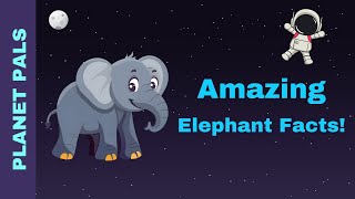 Fun Elephant Facts for Kids! 🐘 Discover the Gentle Giants