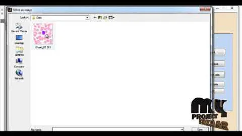 Final Year Projects | Microscopy blood cell segmentation