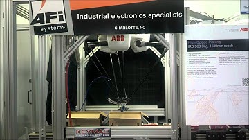 ABB Flexpicker Delta Robot - Case Packing