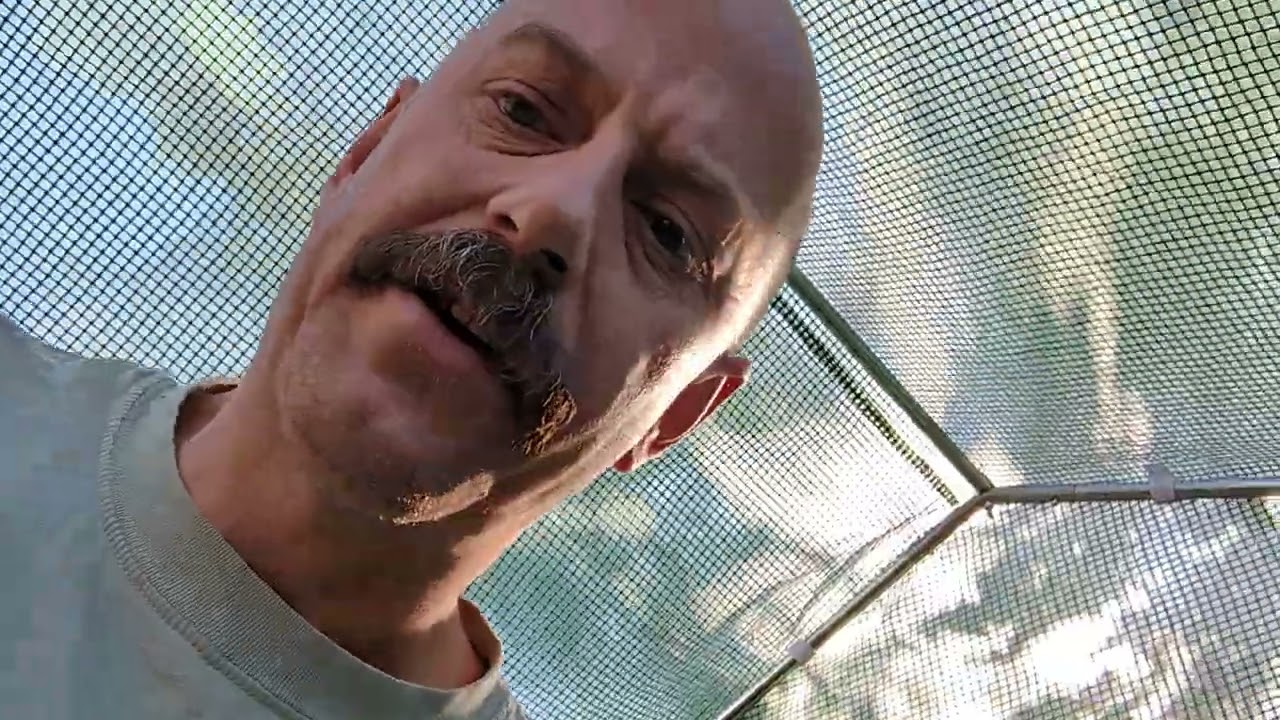 Cannabis Grow Outdoor Greenhouse Addition. Let's See What's Growing On! 