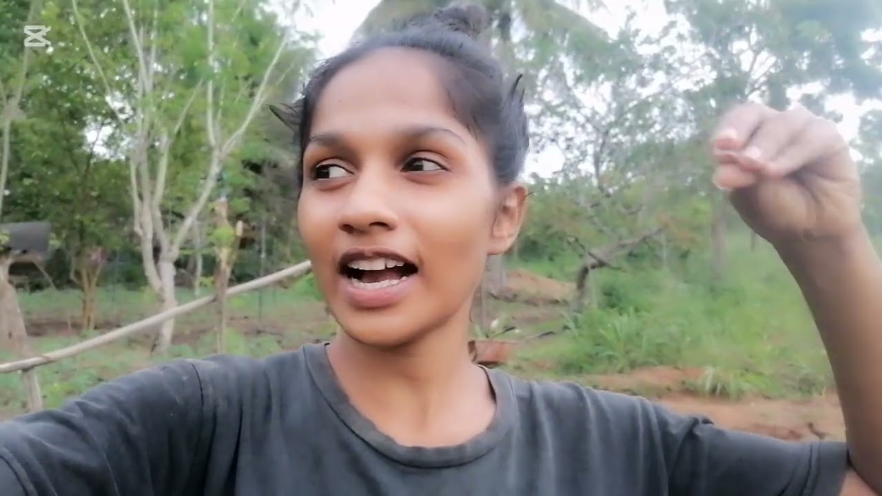 පුංචි ගෙදර වගාවත් එක්ක ජීවත් වෙන අපි 🥰 තවත් ලස්සන දවසක්❤️