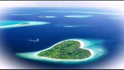 قراءة من سورة الأنعام للطفل المبشر محمد طرهوني