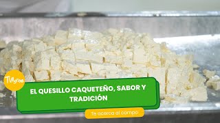 El Quesillo Caqueteño, sabor y tradición  TvAgro por Juan Gonzalo Angel Restrepo