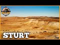 Sturt National Park 3/3 | Dune Wandering, Middle Road, Jump Ups
