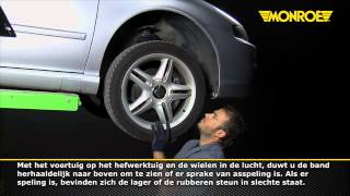 Controle Macpherson Lager