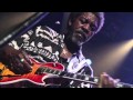 It Hurts Me Too - Luther Allison (Live)
