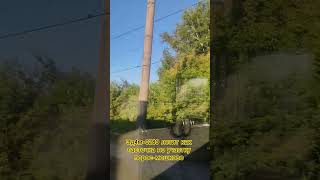 эл4м-0280 летит как ласточка по участку порос-мошково #железнаядорога #train