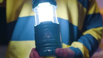 Light the Way: The Campaign for Berkeley launch highlights