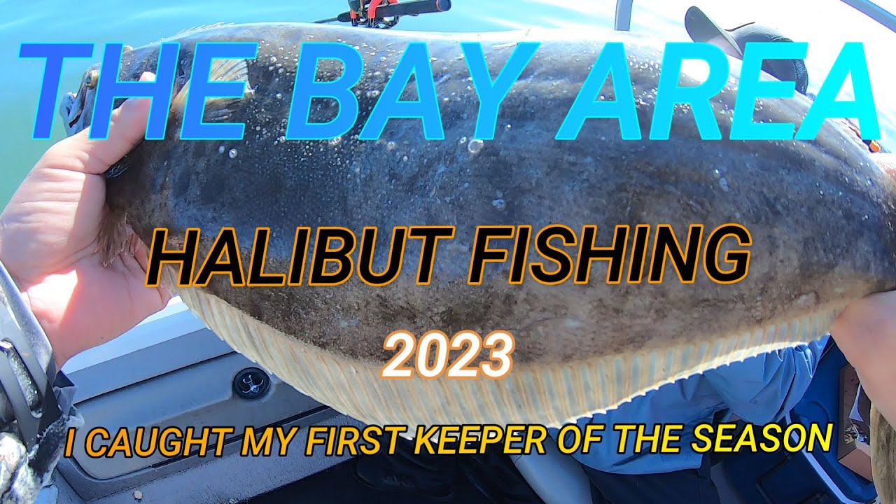 Halibut Fishing San Francisco bay🔥 April 22, 2023 YouTube