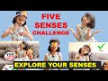 Sense organs activity five sense organs our senses sense organs activity for kids