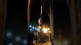 Pau de SEBO em IBIPORÃ.