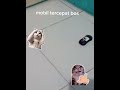 mobil tercepat ni bos senggol dong#capcut#rihan_jomok#youtube#tutorial
