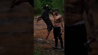 ROTTWEILER HIGH JUMP