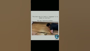 Me Learning Python | Programming Memes   #memes #funny