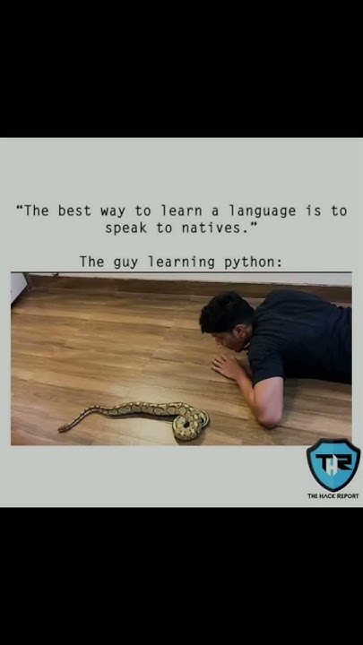 Me Learning Python | Programming Memes #memes #funny - YouTube