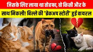 जिसके लिए लाया था तोहफा, वो किसी और के साथ निकली! बिल्ले की 'Breakup Story' हुई वायरल ~ Viral Video