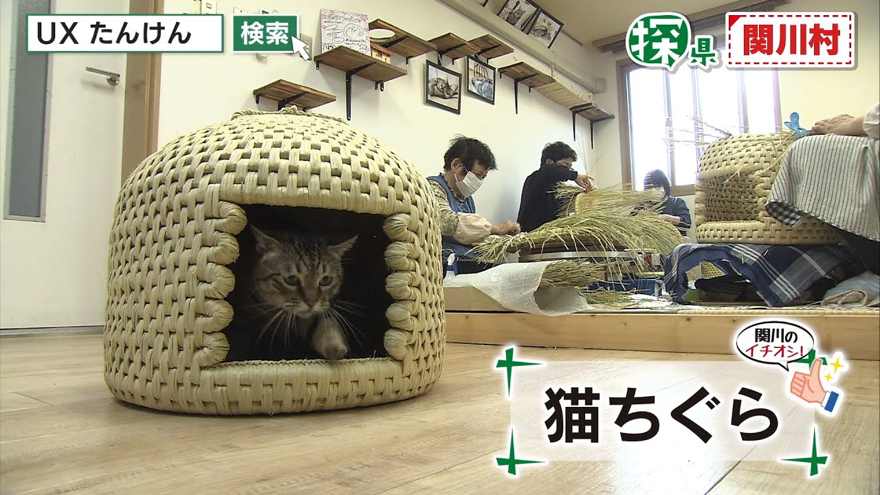 関川村🔎探県プロジェクト【PR動画：名物・魅力・見どころ編