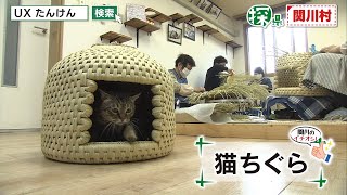 関川村🔎探県プロジェクト【PR動画：名物・魅力・見どころ編】 - YouTube