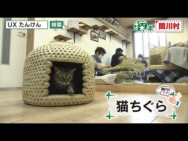 猫ちぐら　新潟県関川村　大 新潟県 関川村】猫ちぐら（国産）