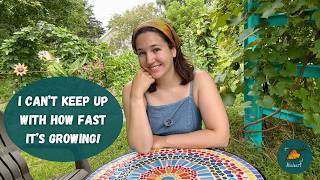 Come on a garden walk with me! | Garden Tour