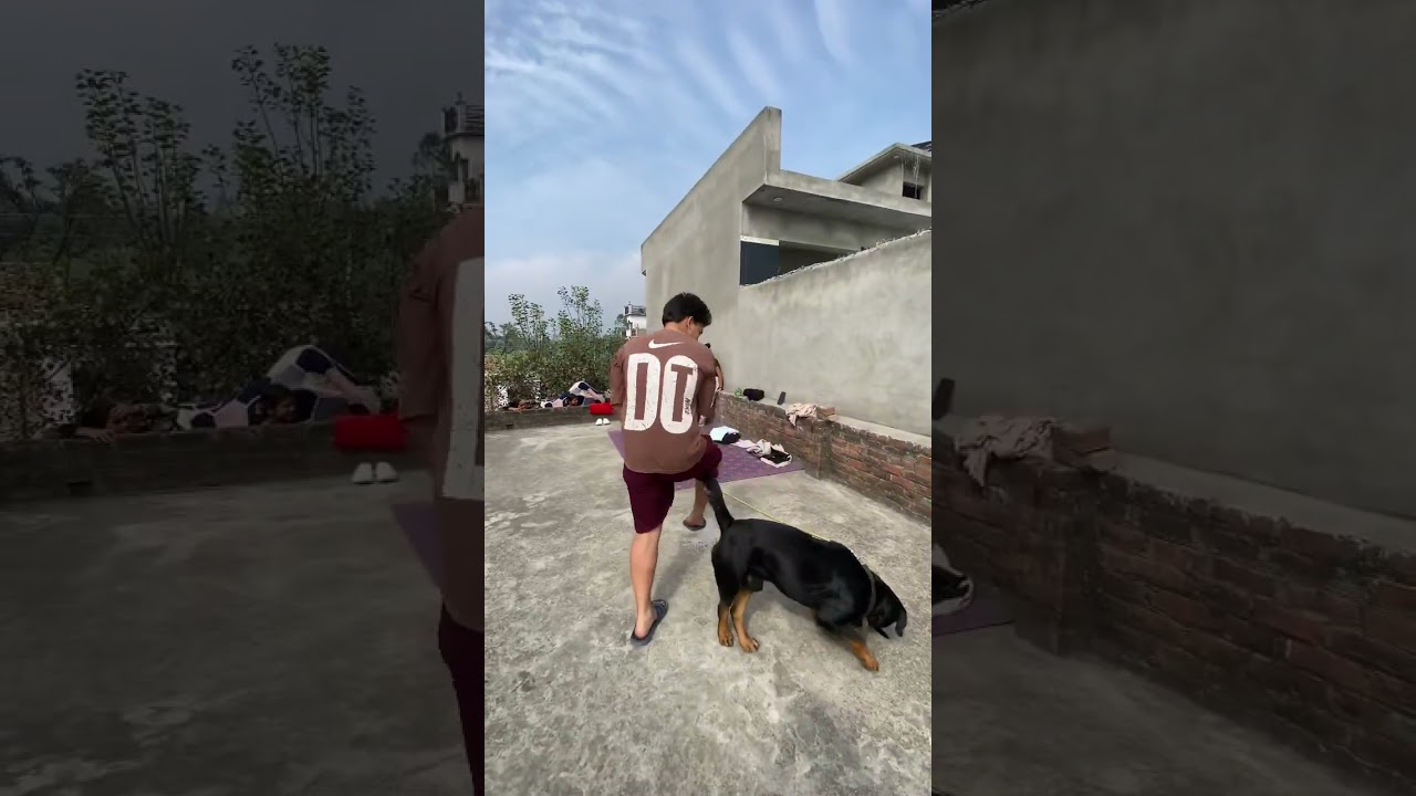 Day 67 Magee 🐶🥰 With Max