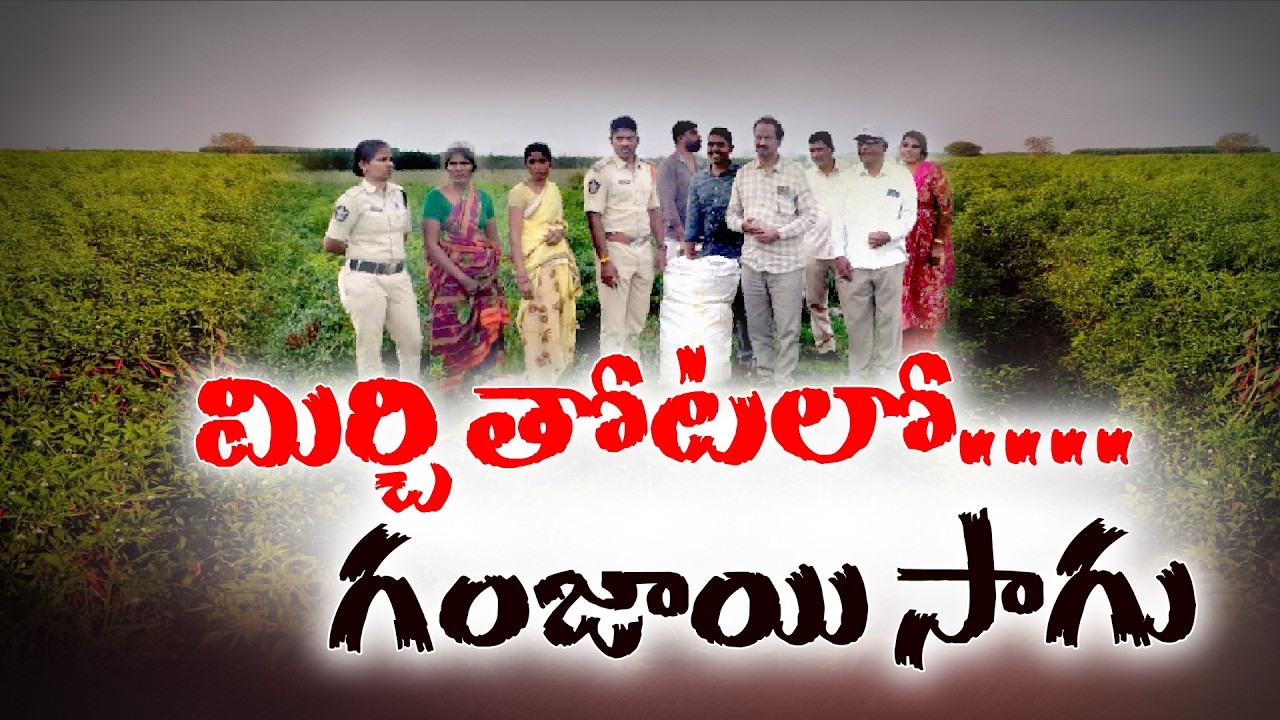 Chilli Farm or Drug Plantation? | Woman’s Secret Plan Busted by Police! || Neralu Ghoralu