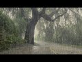 Go to Sleep Fast with this POWERFUL Rain & THUNDER by the Massive Oak TREE-Sleep and Mediation Sound