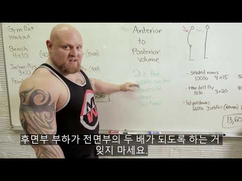 가슴 운동만 하시나요? : 후면 훈련의 중요성 (ft. 멧 웨닝)