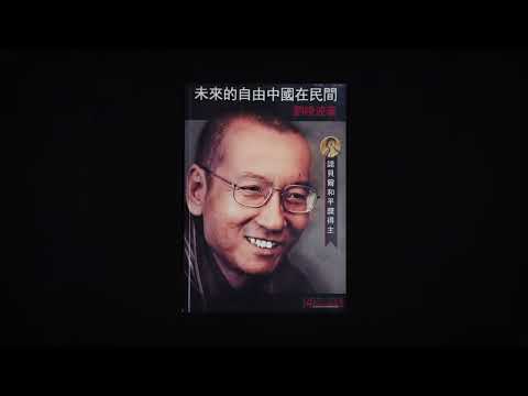 中国政辩 Debating China