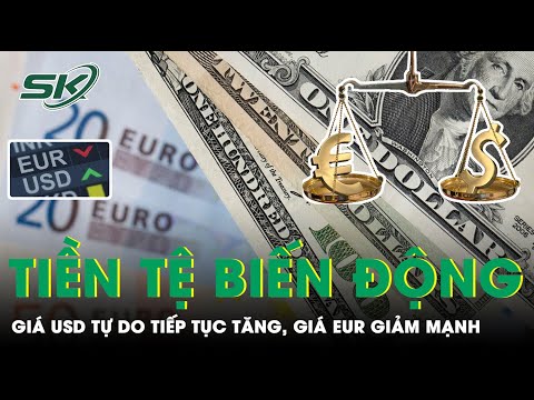 Đổi Đô La Mỹ Sang Tiền Việt - Tỷ Giá USD Tự Do Tiếp Tục Tăng, Tỷ Giá EUR Giảm Mạnh | SKĐS