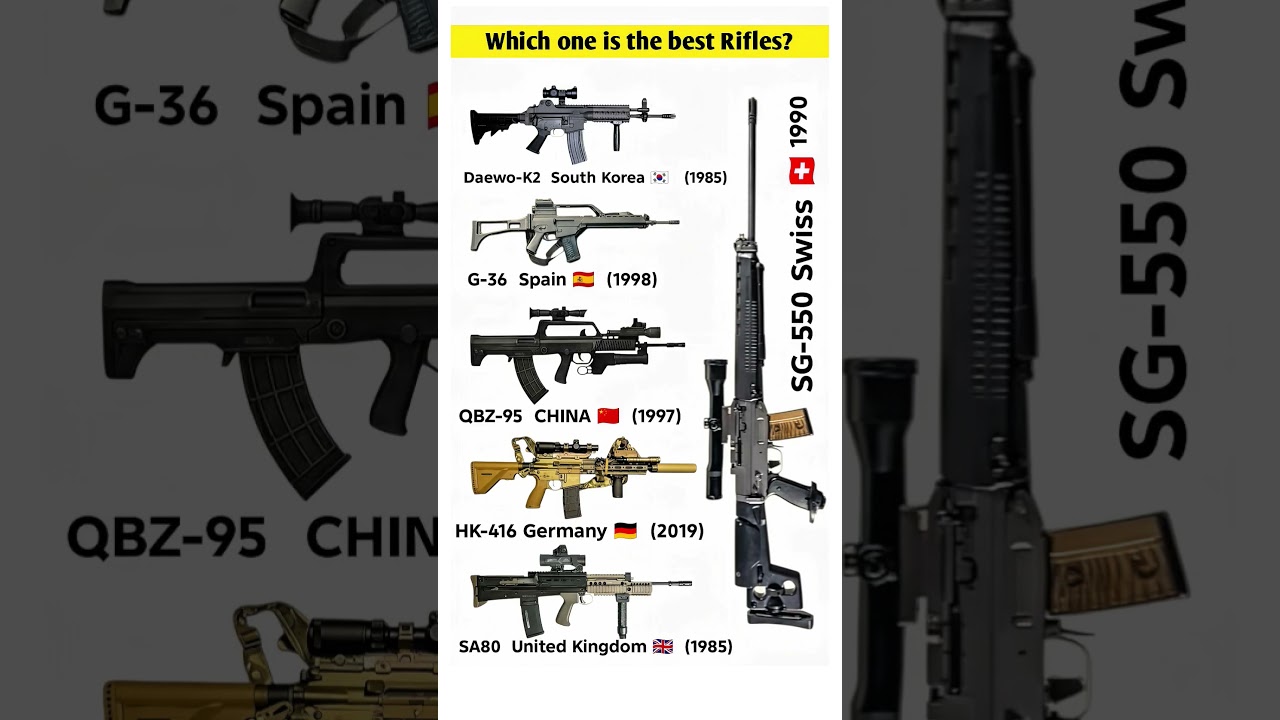 Which one is the best Rifle? 