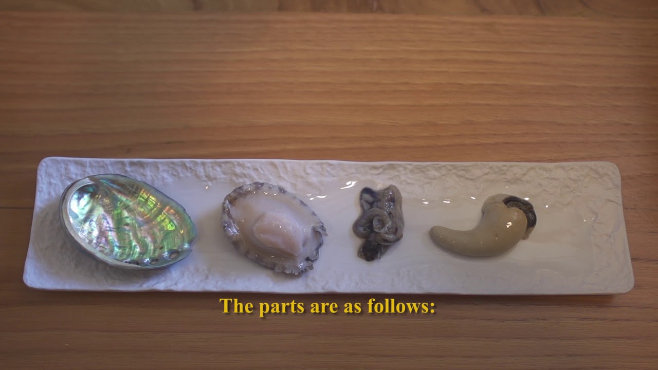 Abalone Anatomy Japanese Ezo Awabi English subtitles YouTube