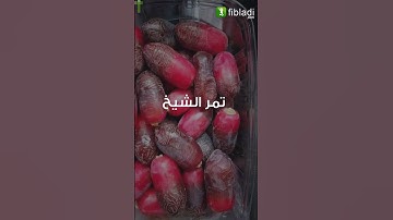 أصناف #التمور #الجزائرية تغزو #العالم..تعرّف على أشهرها