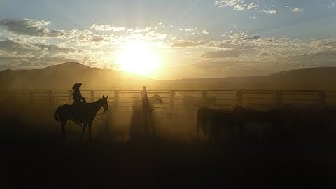 Martin Black Horsemanship  Join Us!