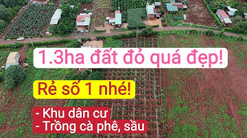 Bán đất đỏ trồng cà phê sầu riêng khu dân cư, bất động sản đất vườn giá rẻ, đất cà phê