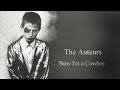 The auteurs  now im a cowboy full album 1994