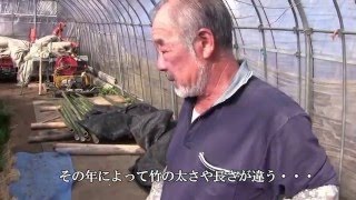 門松を飾りませんか　「松種造園」