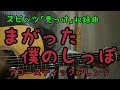#10 まがった僕のしっぽ/スピッツ【アコギ1発録りで「見っけ」全収録曲をいい感じに弾いてみた】