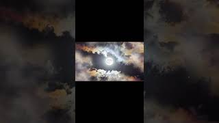 In Case You Wonder Where Ive Been