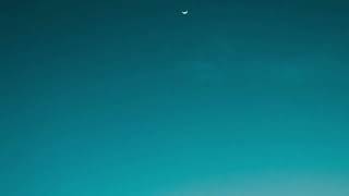 Crazygenius - Panic At The Disco Slowed Down