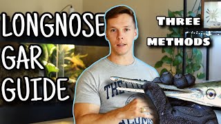 The ULTIMATE Guide to Catch Longnose Gar