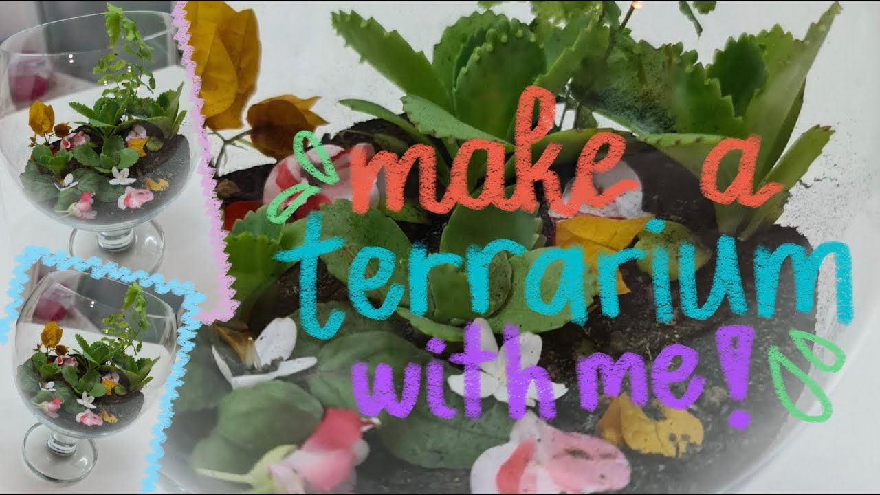 make a terrarium with me ! [BM] // a school project YouTube