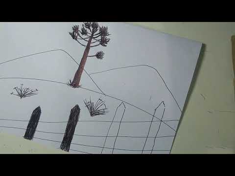 Vídeo: Como Desenhar Um Pinheiro