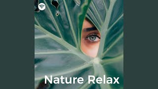 Harmonious Forest Symphony (Relaxing Spa Soundscape)