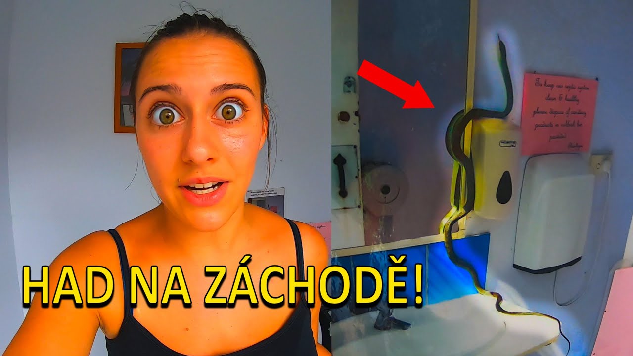 JAK VYPADAJÍ ZÁCHODY V AUSTRÁLII (Co se nevešlo do roadtripu)