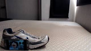 20260808(8246).mp4