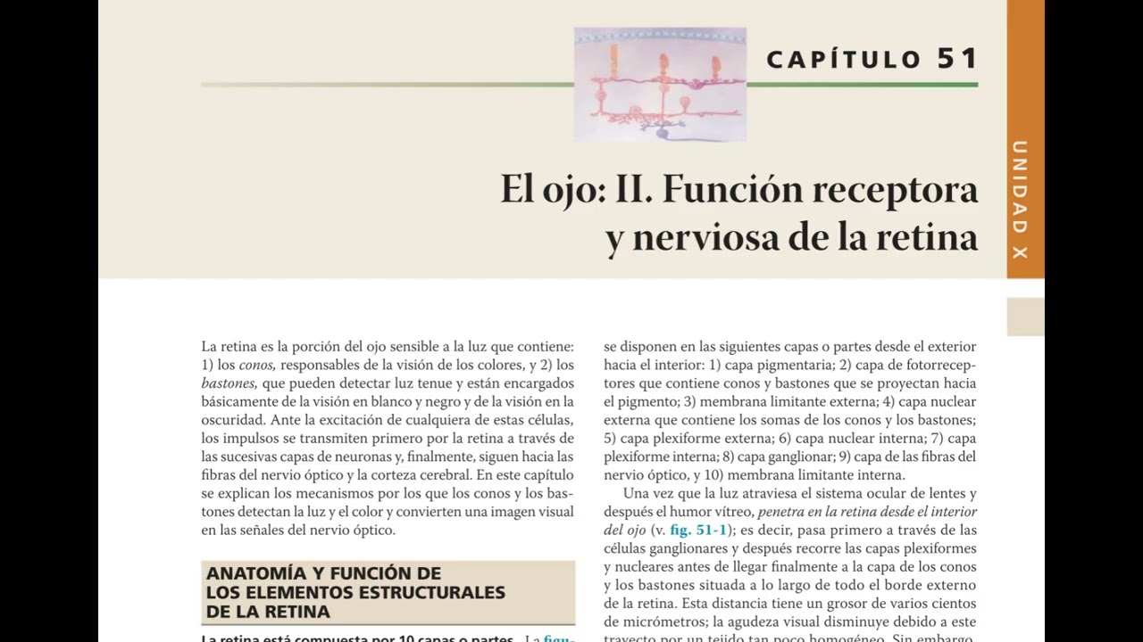 Podcast: Resumen Capítulo 51 – Retina y Fototransducción Visual | Guyton 14ª Ed.