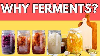 Top 9 Fermented Foods You MUST Eat Daily