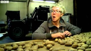 Could 'salt potatoes' create revolution
